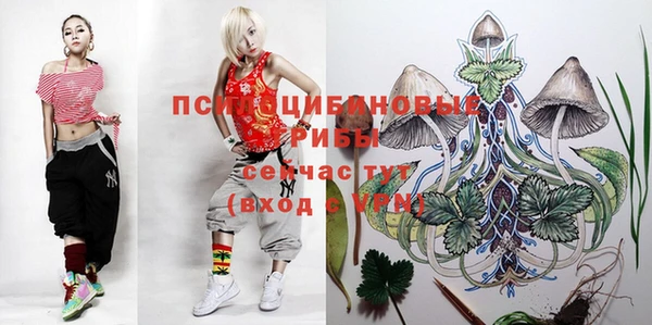 первитин Баксан