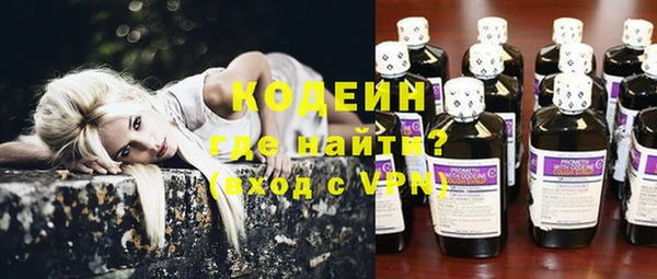 индика Балахна