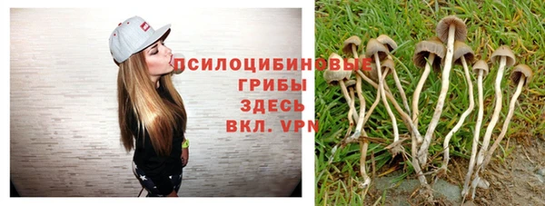 индика Балахна