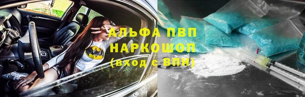 индика Балахна