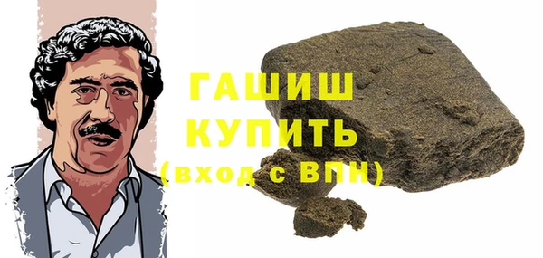 индика Балахна