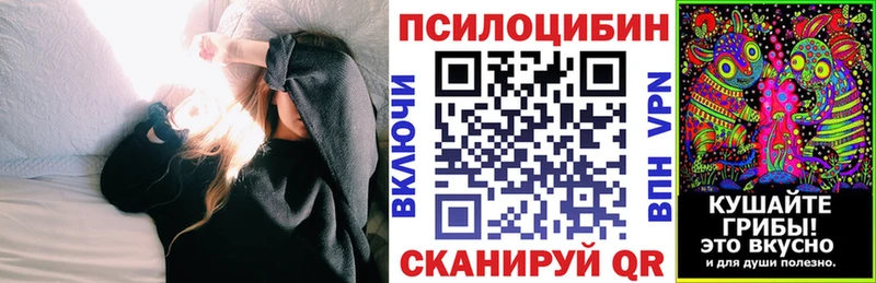 Псилоцибиновые грибы GOLDEN TEACHER  купить наркотики сайты  Городище 